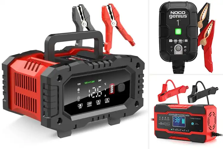 Detailed view of Best 12V Battery Chargers