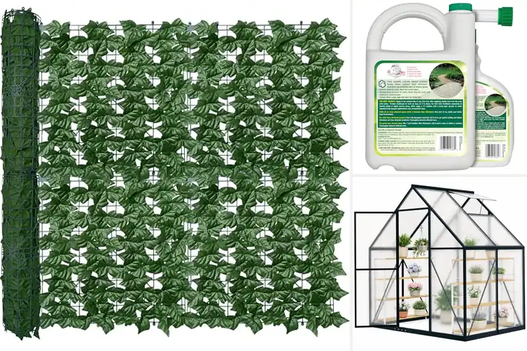Detailed view of Best Backyard Greens: Simple Steps to Your Green Paradise