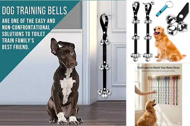 Detailed view of Best Bells For Dog Potty Training