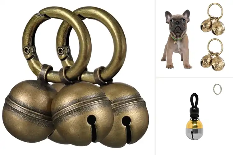 Detailed view of Best Bells For Pet Tracking: Top 10 Safe & Durable Options