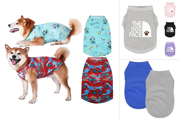 Detailed view of Best Breathable Dog Apparel: Top 10 Cool & Stylish Picks