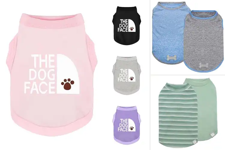 Detailed view of Best Breathable Dog Clothes