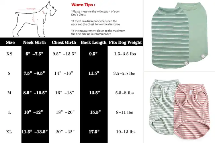 Detailed view of Best Breathable Dog Shirts