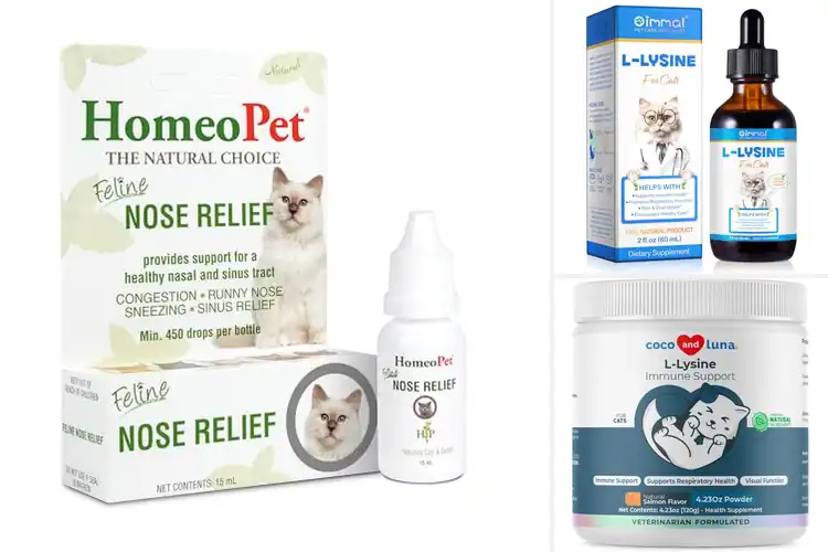 Detailed view of Best Cat Cold Relief Products