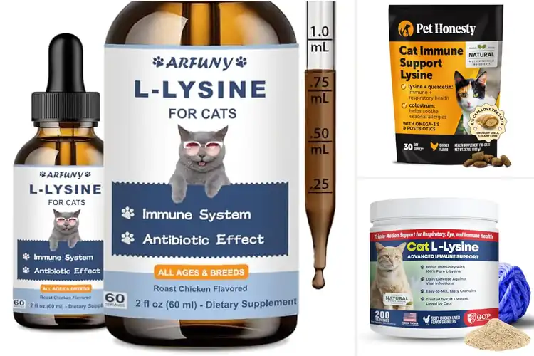 Detailed view of Best Chicken Flavored Lysine For Cats