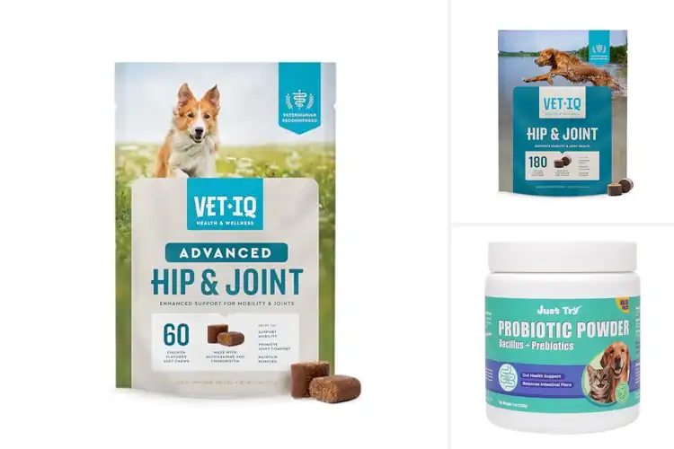 Detailed view of Best Chicken Flavored Supplements