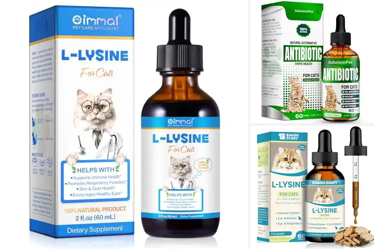 Detailed view of Best Cold Relief Supplements for Cats