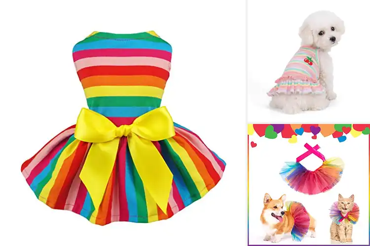 Detailed view of Best Colorful Dog Outfits