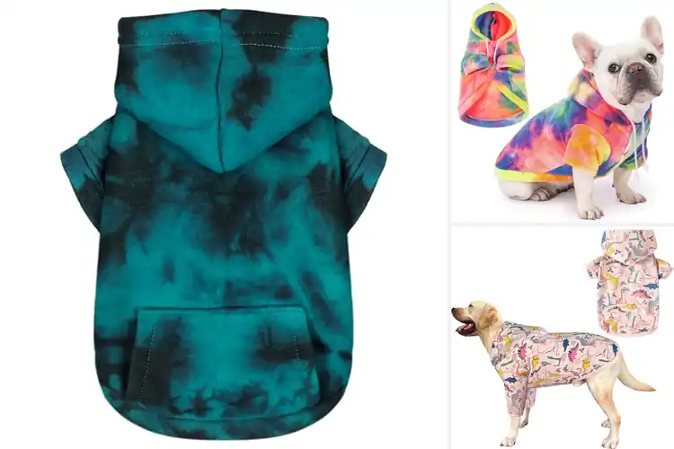 Detailed view of Best Colorful Dog Sweatshirts