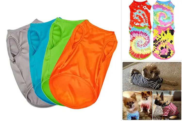Detailed view of Best Colorful Dog Tees Pack