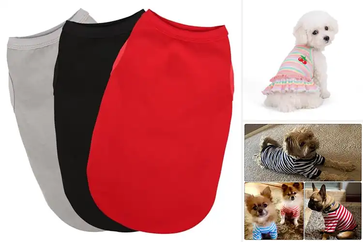 Detailed view of Best Colorful Pet Clothes
