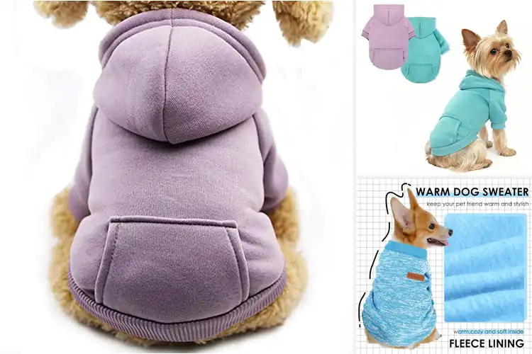 Detailed view of Best Colorful Puppy Sweatshirts For Small Dogs