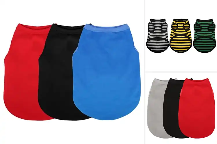 Detailed view of Best Colorful Puppy Sweatshirts: Cozy, Stylish, and Fun