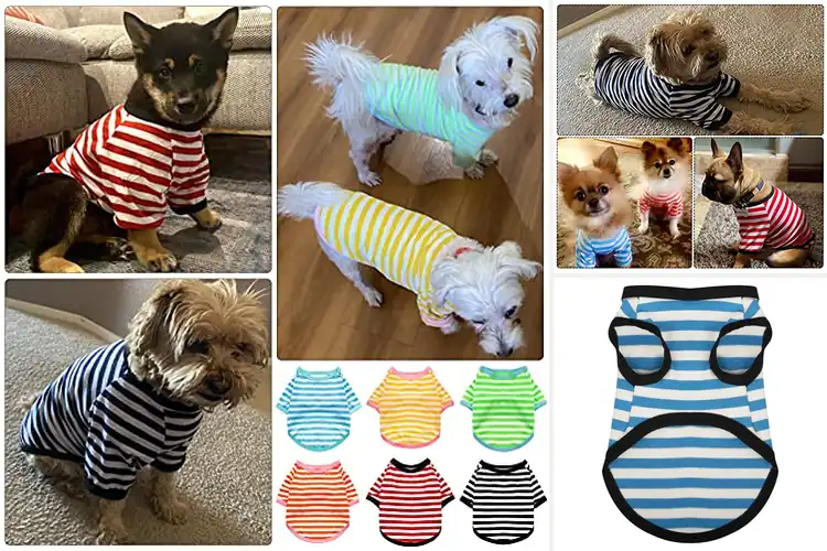 Detailed view of Best Colorful Striped Puppy Sweatshirts For Pets