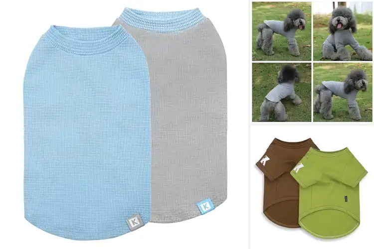 Detailed view of Best Comfortable Surface Dog Tees For Long Wear