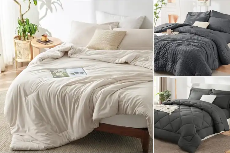 Detailed view of Best Comforter And Sham Set