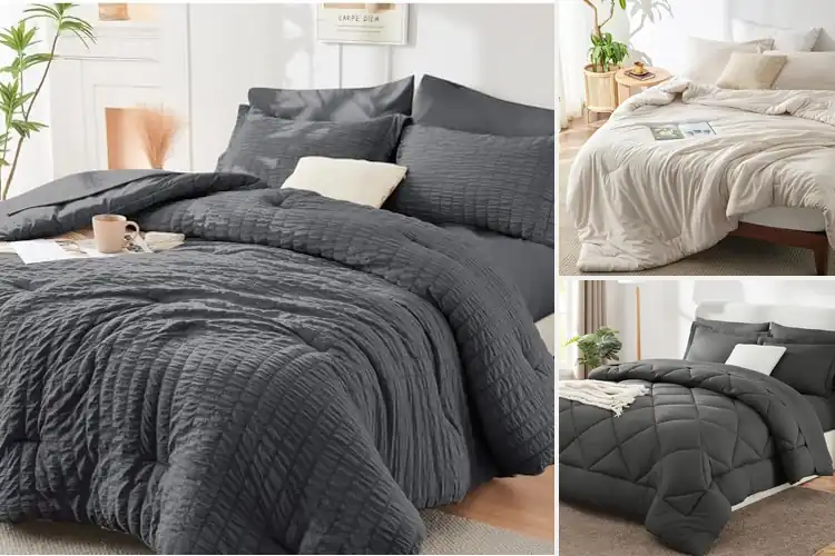 Detailed view of Best Comforter And Sham Sets Top Picks for Luxurious Comfort