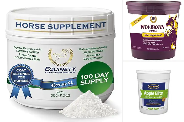 Detailed view of Best Comprehensive Horse Supplements