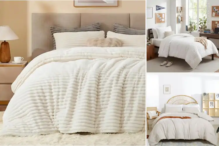 Detailed view of Best Cozy Twin Comforter Sets