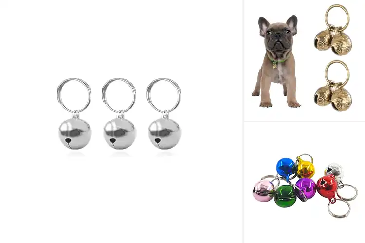 Detailed view of Best Detachable Bells for Collars: Safety & Style in One