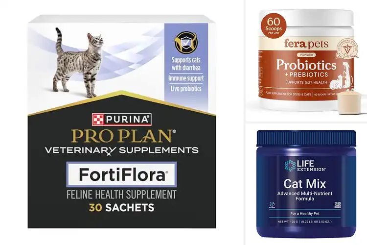 Detailed view of Best Digestible Cat Supplements