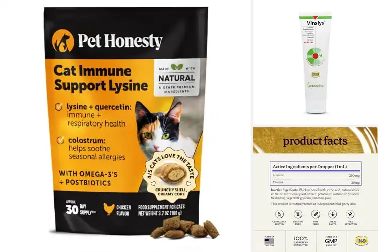 Detailed view of Best Digestible Lysine Supplements for Cats