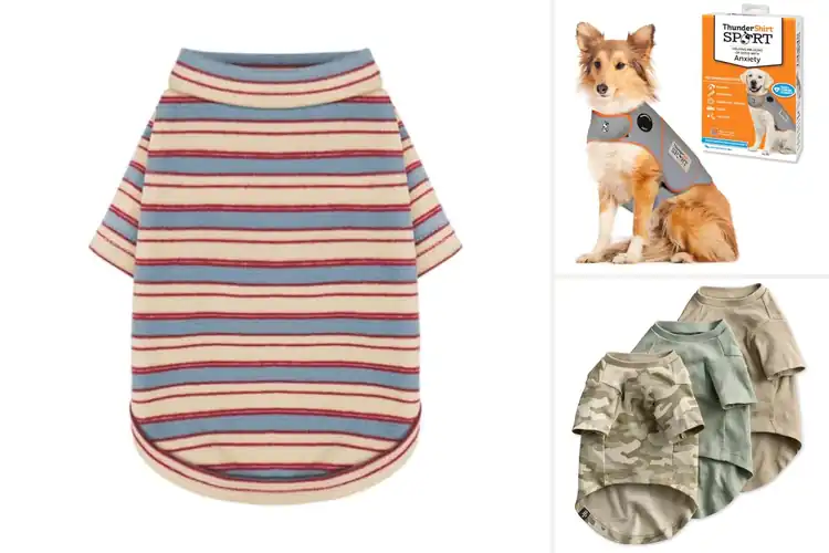 Detailed view of Best Dog Clothes