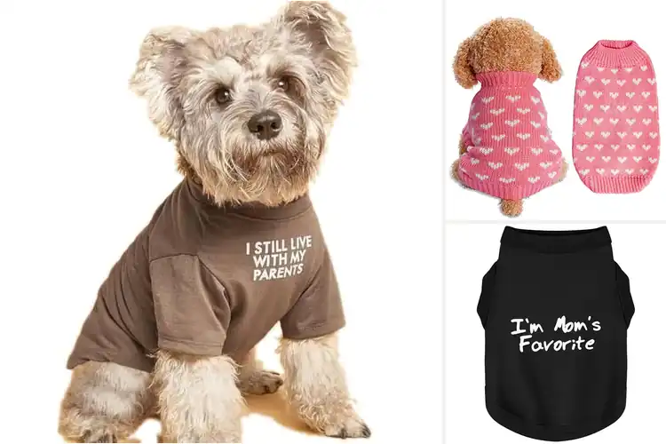 Detailed view of Best Dog Clothing Gifts