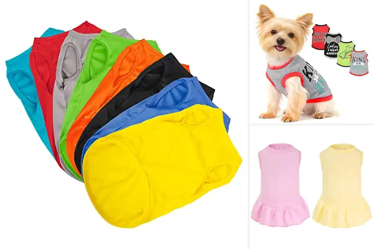 Detailed view of Best Dog Clothing Sets for Style & Comfort