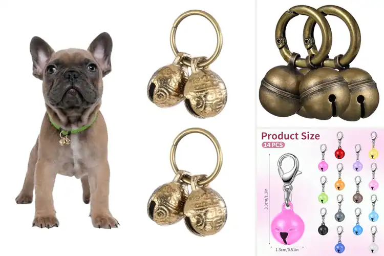 Detailed view of Best Dog Collar Bells: 10 Stylish Picks for Pet Safety