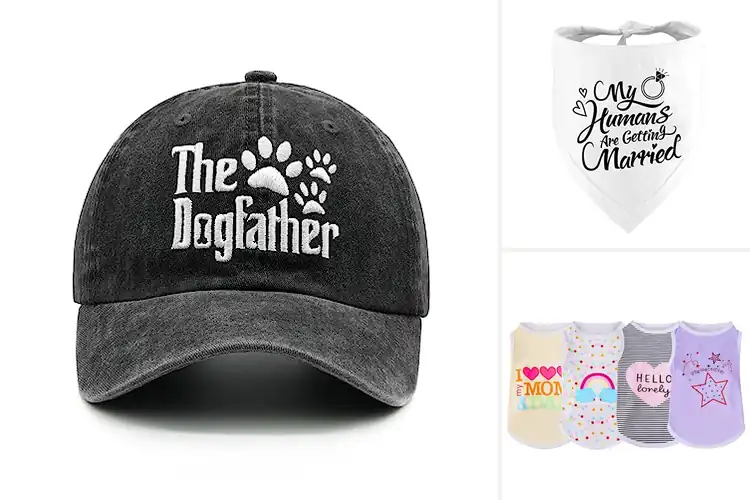 Detailed view of Best Dog Gift Clothes for Comfy, Stylish Pups