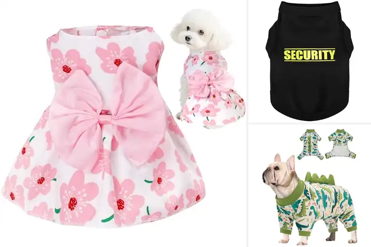 Detailed view of Best Dog Outfits for Style & Comfort