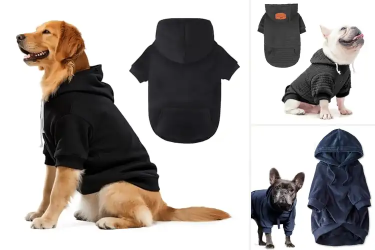 Detailed view of Best Dog Sweatshirts: 10 Cozy & Stylish Picks for Your Pup