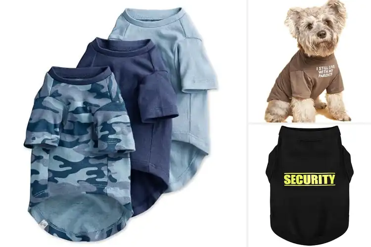 Detailed view of Best Dog T Shirt: 10 Top Picks Style, Comfort & Durability