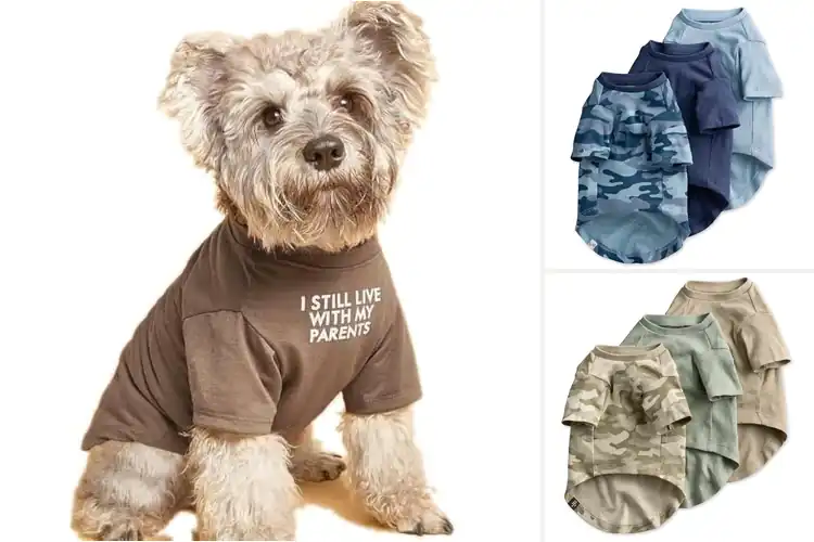 Detailed view of Best Dog T-Shirts: Stylish & Comfy Picks for Your Pup