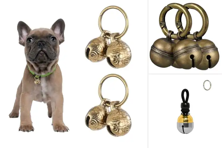 Detailed view of Best Extra Loud Collar Bells