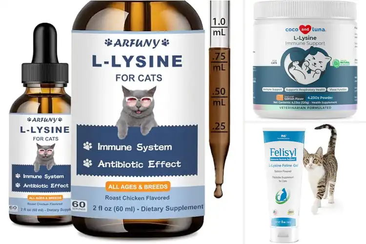 Detailed view of Best Eye Function Support Lysine For Cats