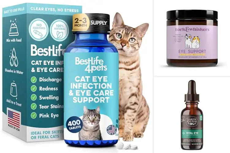 Detailed view of Best Eye Health Supplements for Cats