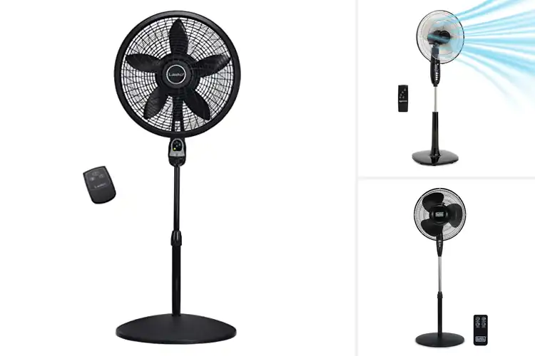 Detailed view of Best Fans With Remote Control: Cool Comfort at One Click