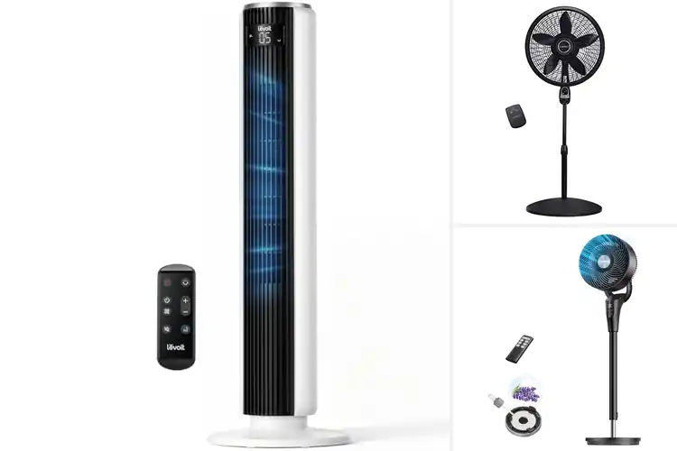Detailed view of Best Fans With Timer: Top Picks for Easy Comfort