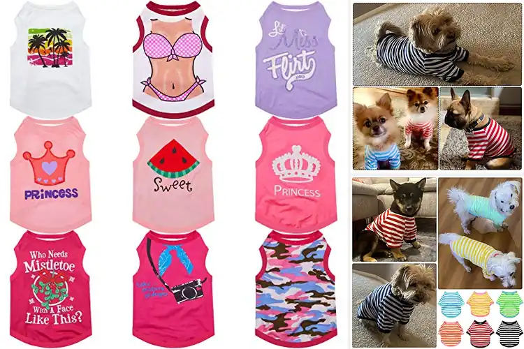 Detailed view of Best Geyoga Dog T Shirts