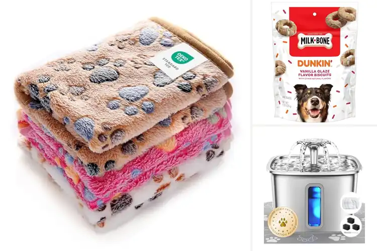 Detailed view of Best Gifts For Pets