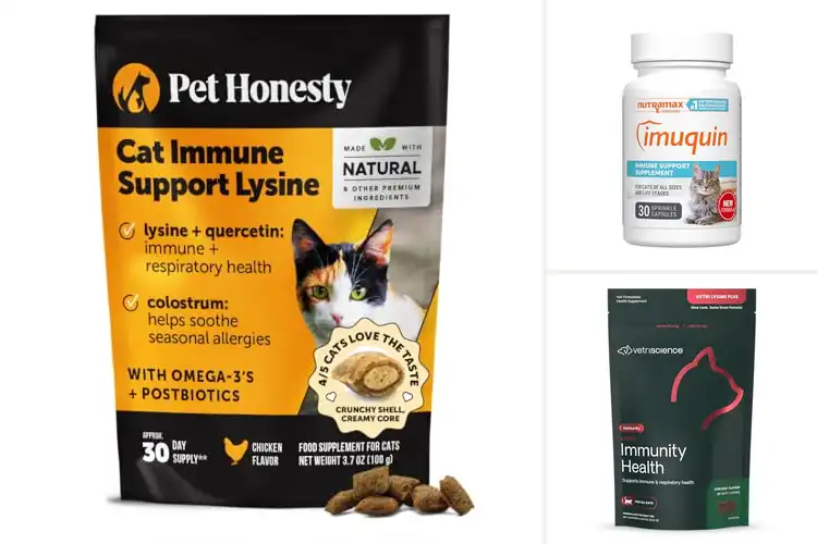 Detailed view of Best Immune Health Supplements for Cats