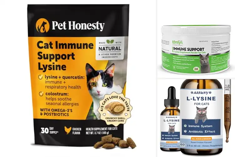 Detailed view of Best Immune Support Lysine For Cats