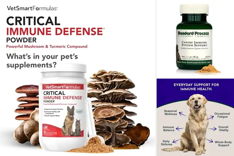 Detailed view of Best Immune Support Supplements for Pets