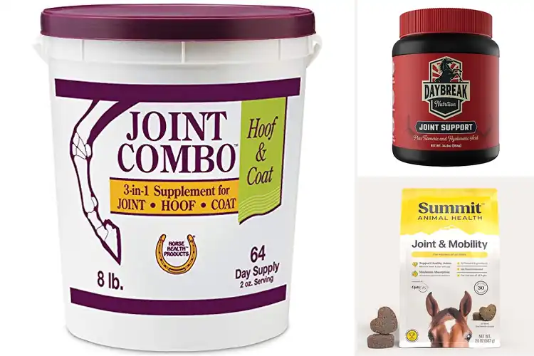 Detailed view of Best Joint Supplements For Horses