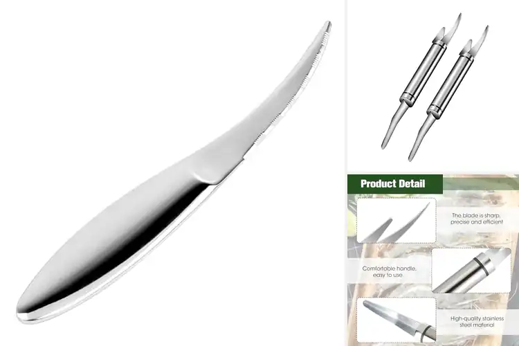 Detailed view of Best Knives For Deveining Shrimp