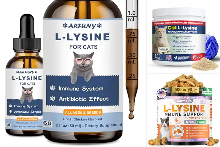 Detailed view of Best L Lysine For Senior Cats: 10 Tasty Health Boosters