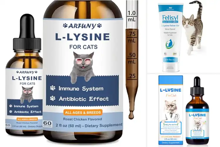 Detailed view of Best L Lysine For Upper Respiratory Health