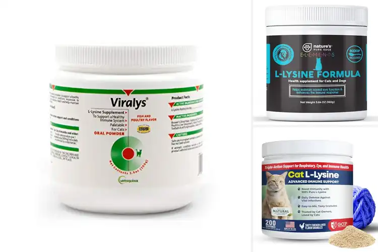 Detailed view of Best L Lysine Powder For Cats And Kittens